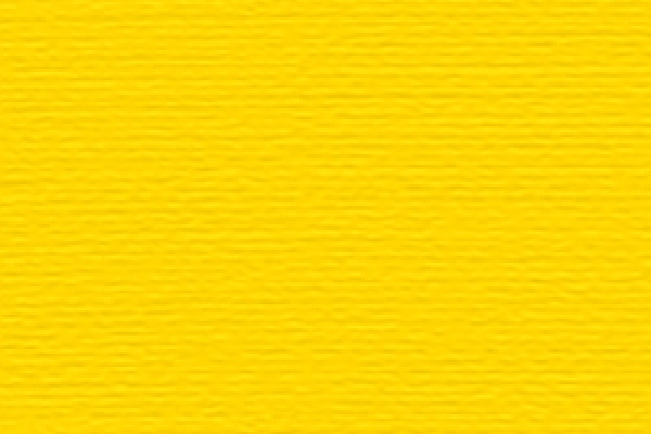 Λ119